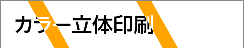 カラー立体印刷