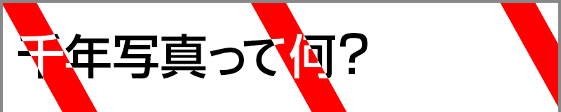 千年写真って何?