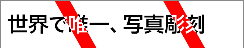 世界で唯一、写真彫刻