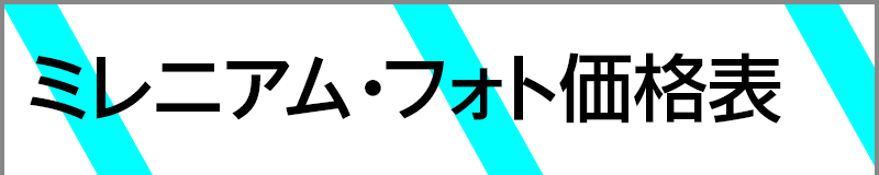 ミレニアム･フォト価格表