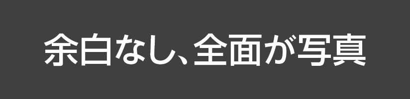 余白なし、全面が写真