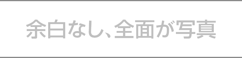 余白なし、全面が写真
